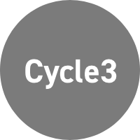 cycle3