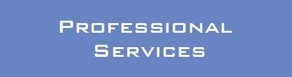 Professional Services